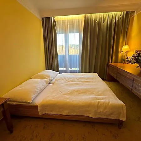 International Hotel 4*